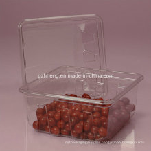 Walmart Custom Clear Plastic Box for Food (PET 003)